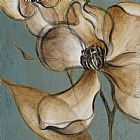 Translucent Magnolias by Lanie Loreth